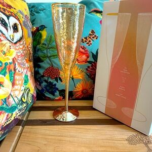 Anthropologie Zaza Champagne Flutes